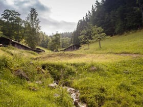 Maison nature à Triberg