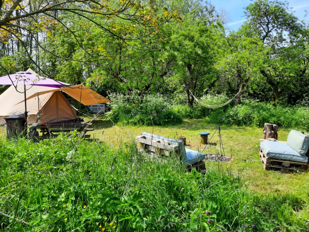 Natuurhuisje in Hurwenen