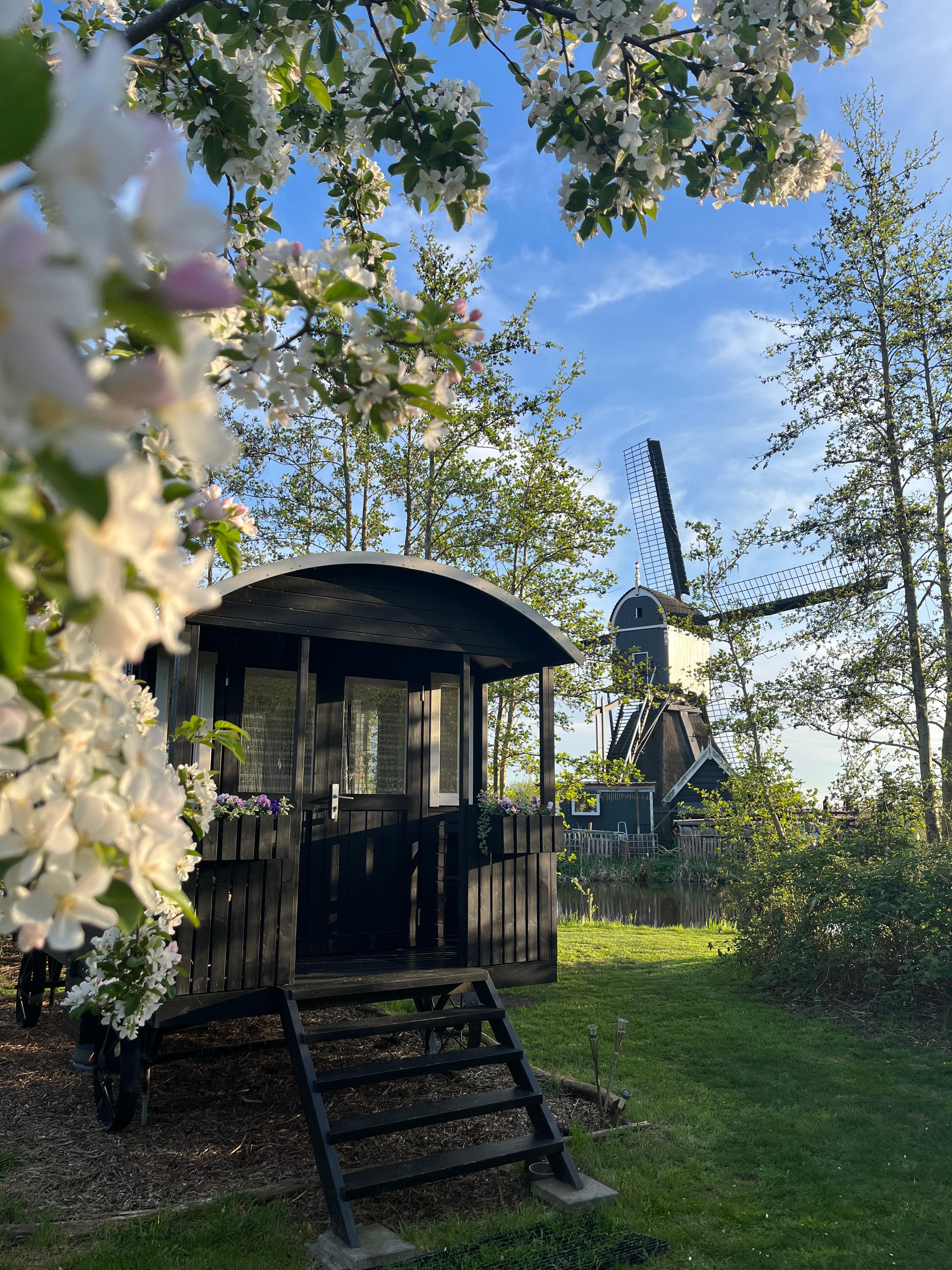 Maison nature à Lexmond