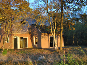 Nature house in Ruinen