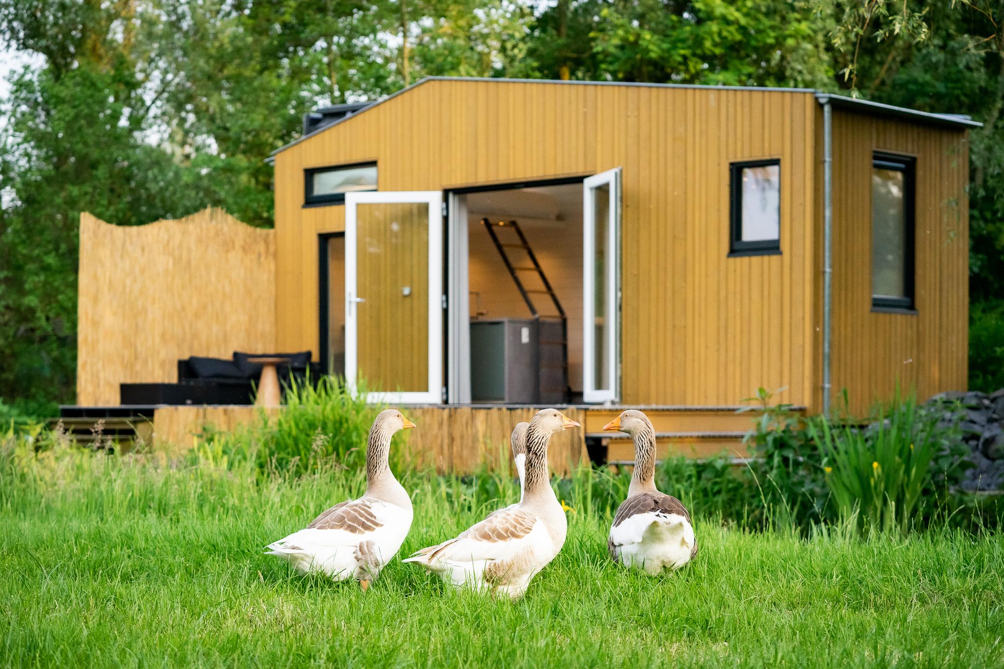 Nature house in Kamerik