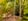 Nature house in Moncarapacho