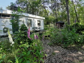 Maison nature à Zelhem