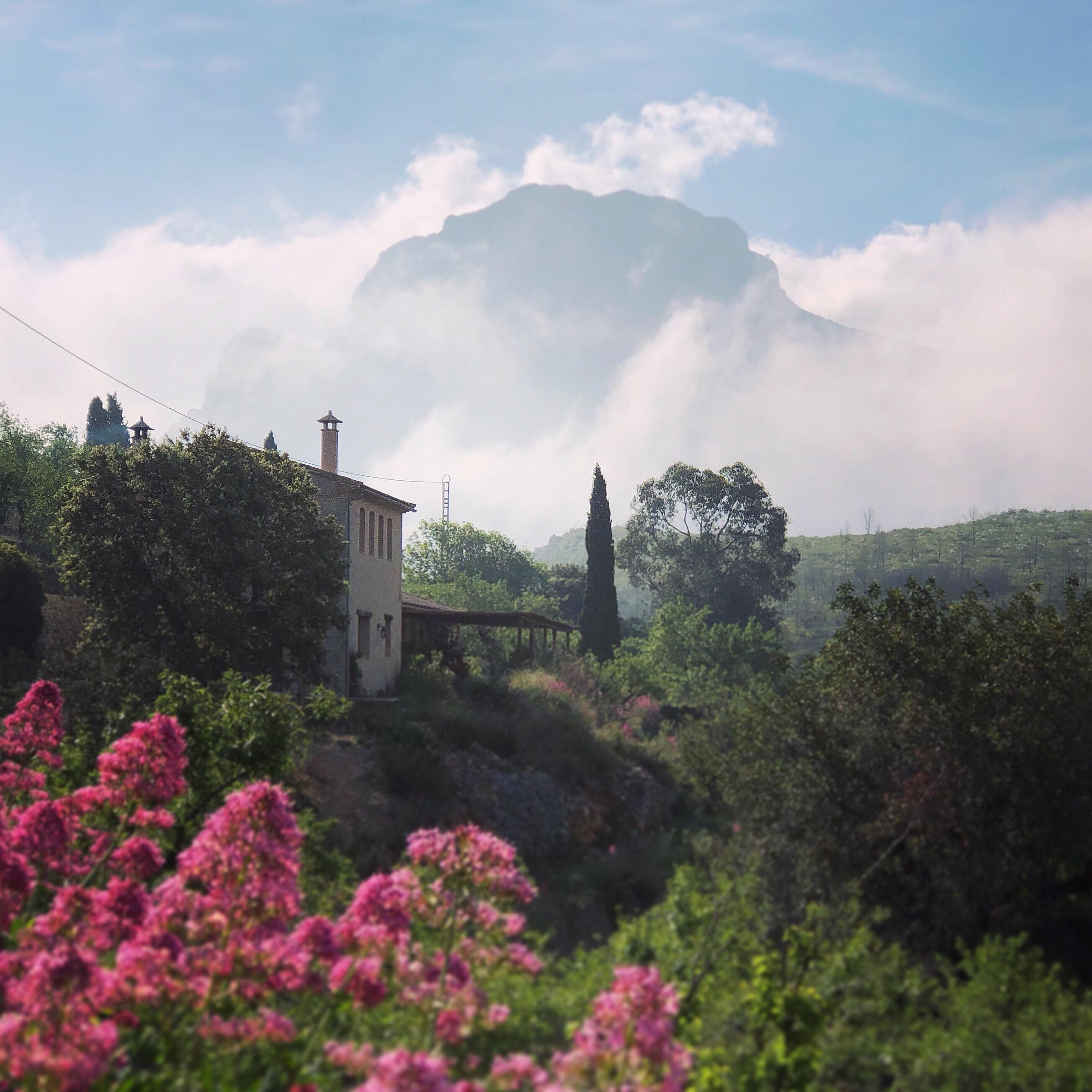 Maison nature à Tarbena, Alicante