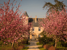 Maison nature à monfreville