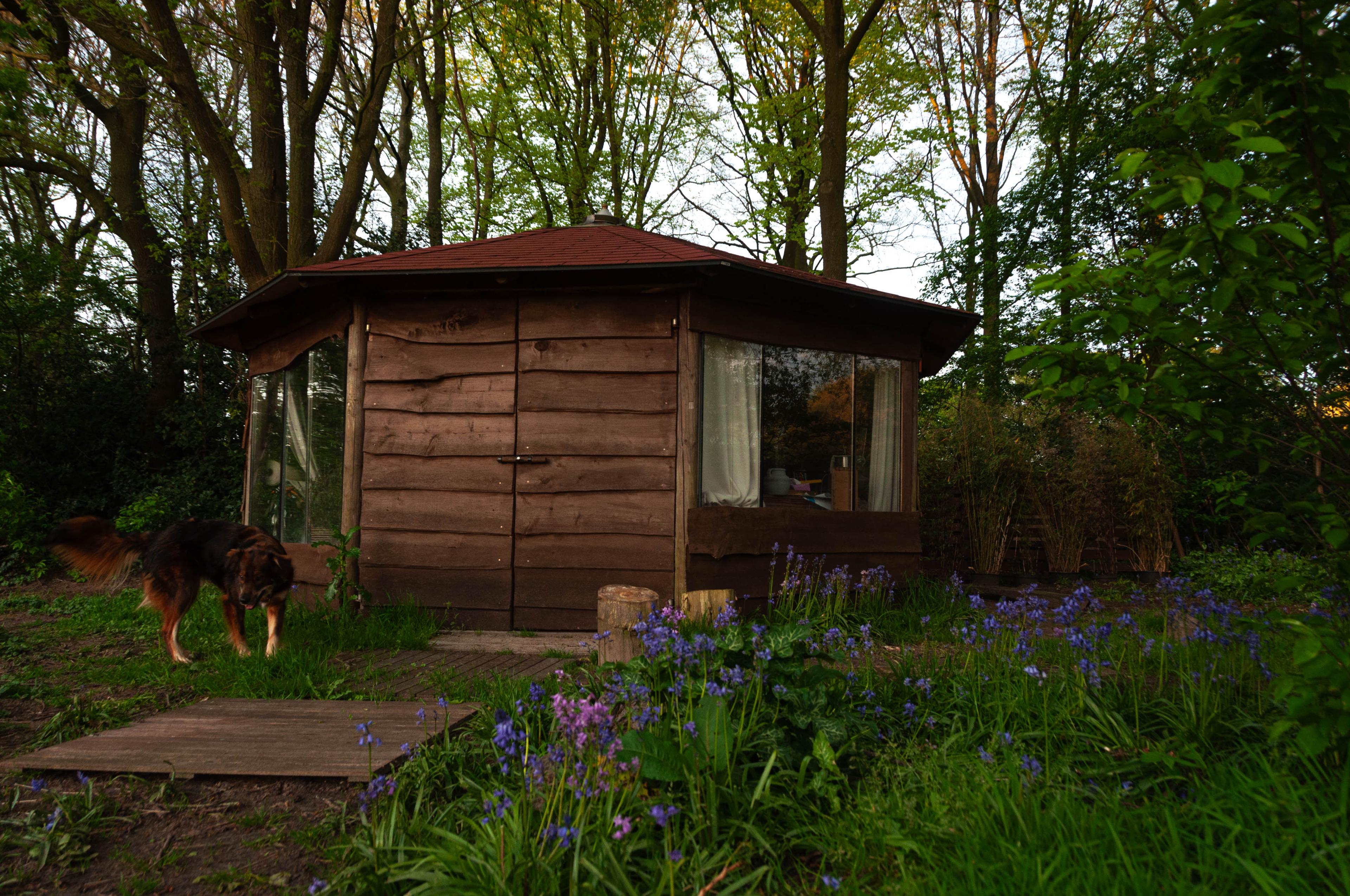 Maison nature à Sijsele
