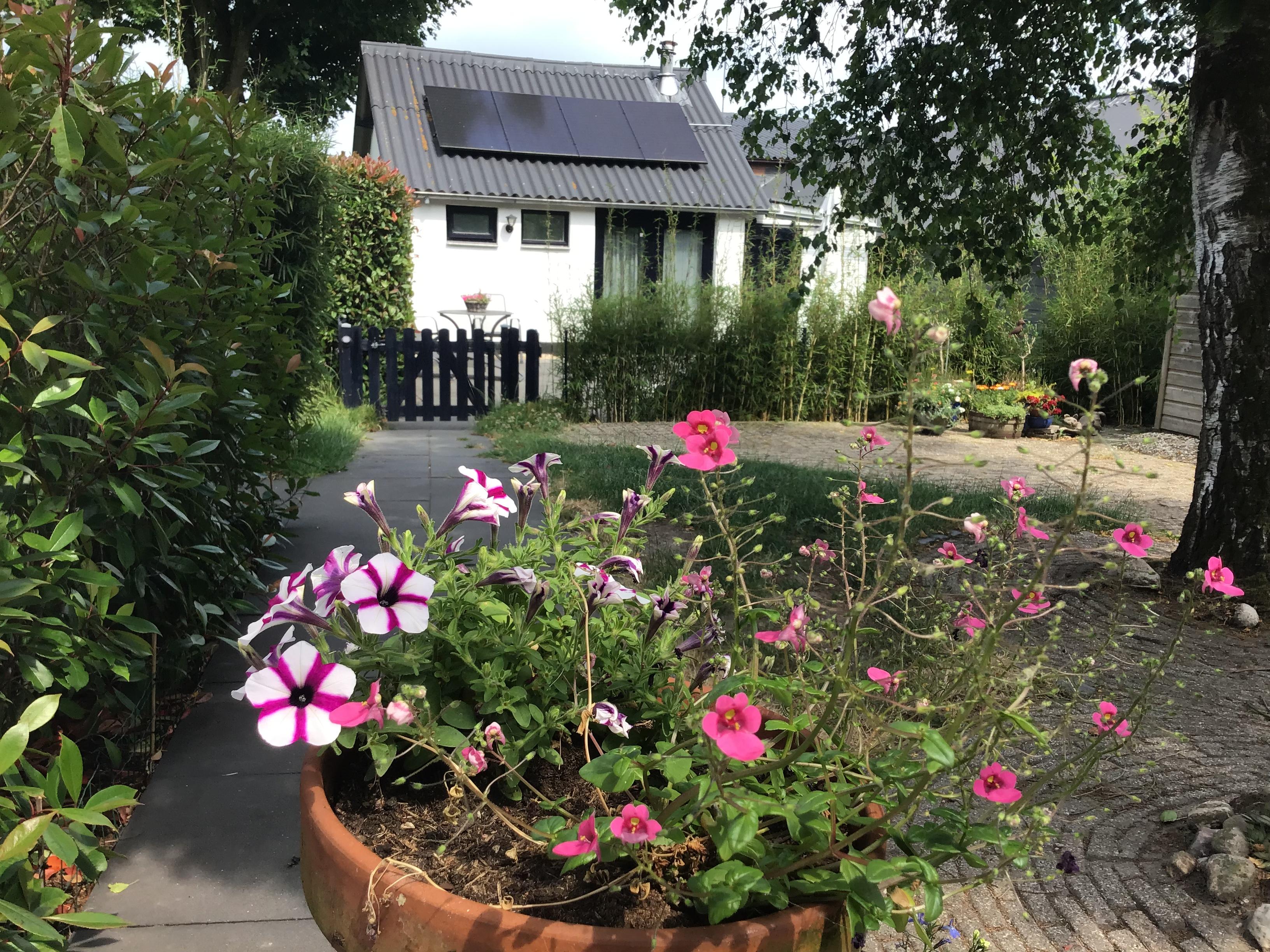 Nature house in Oldebroek