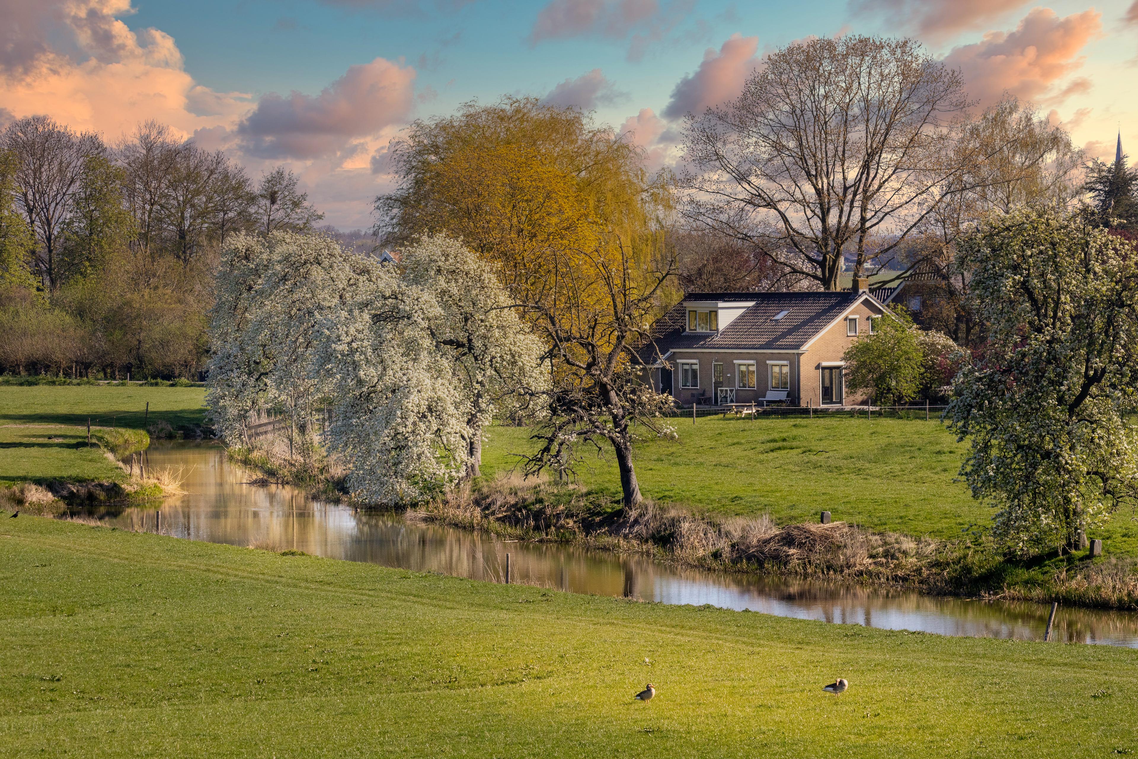 Nature house in Schalkwijk