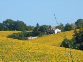 Natuurhuisje in Nanteuil Auriac de Bourzac