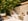Nature house in Massarosa