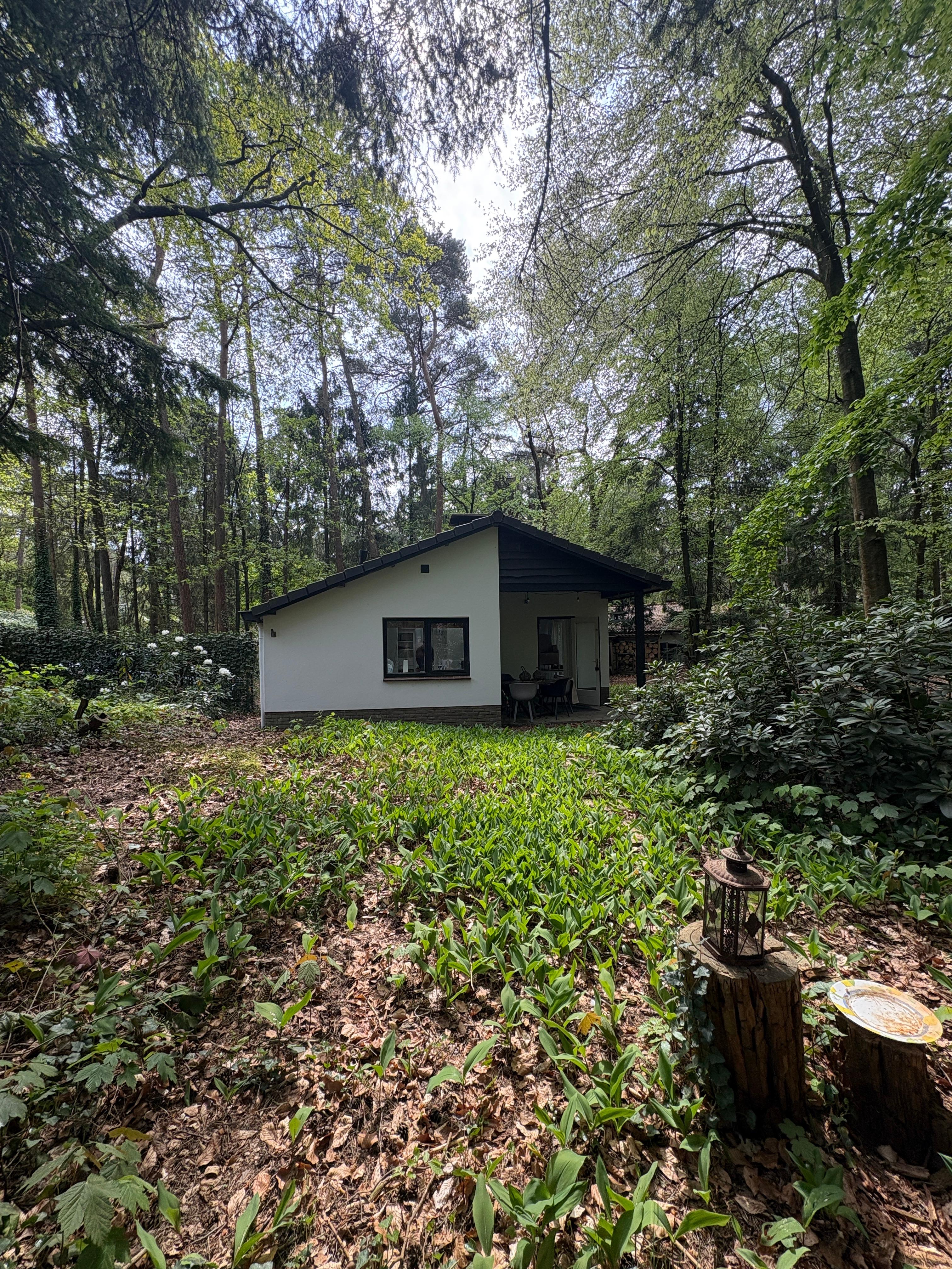 Maison nature à Baarn