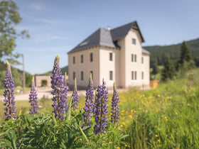 Nature house in Eibenstock