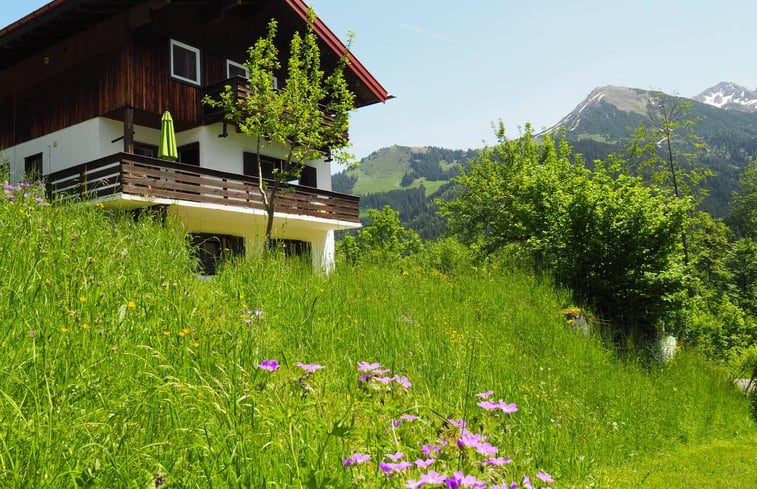 Nature house in Mittelberg: 3