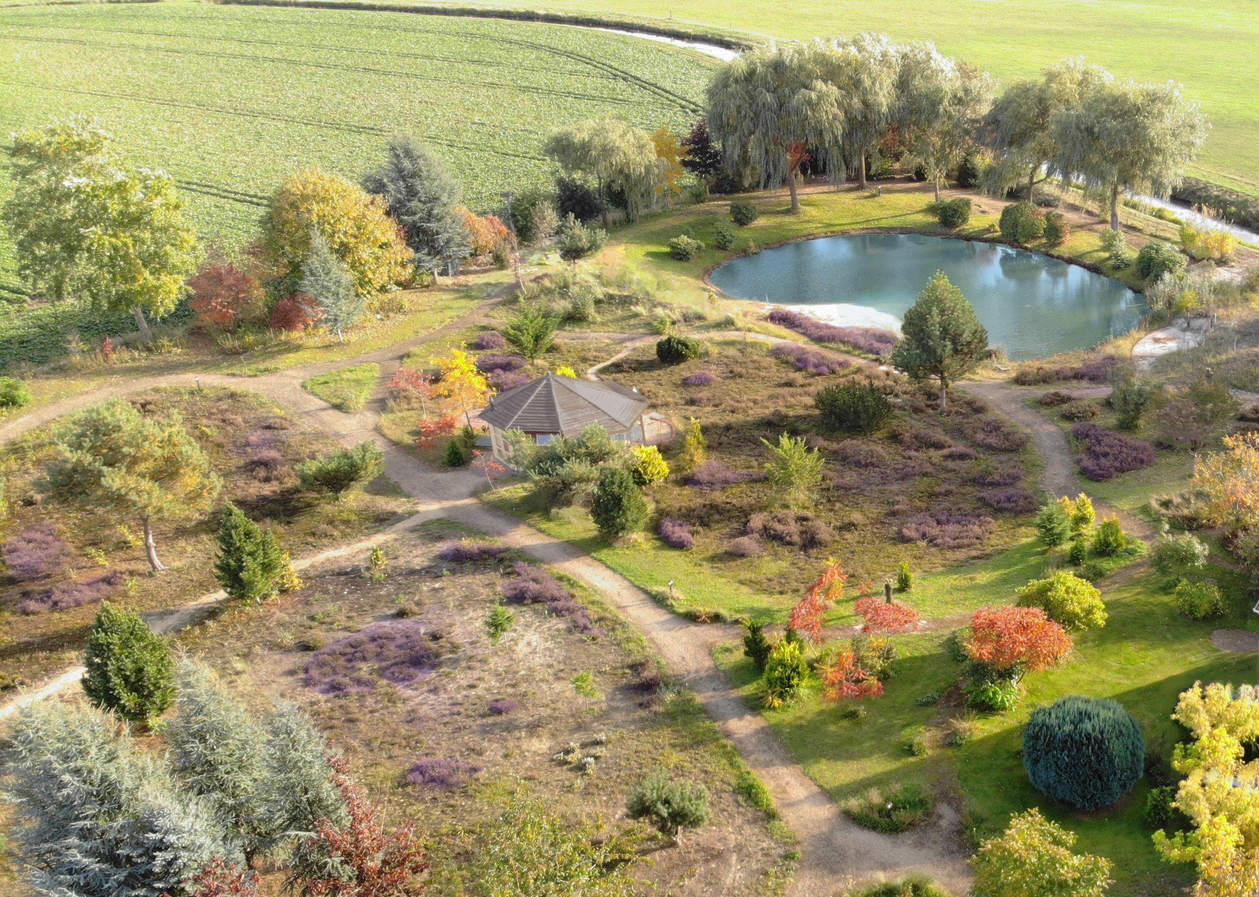 Natuurhuisje in Westerwolde