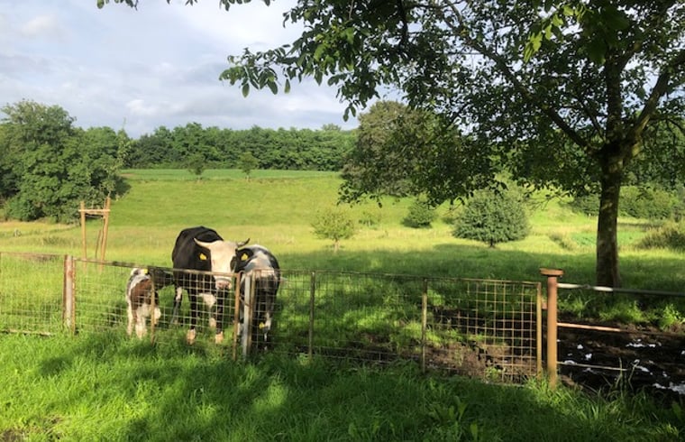 Natuurhuisje in Beek