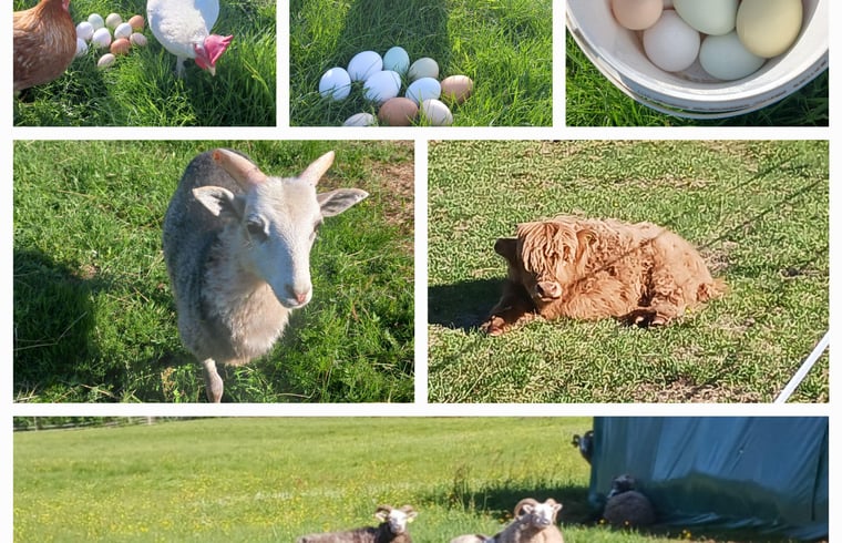 Blokhut in Torsby — foto 3