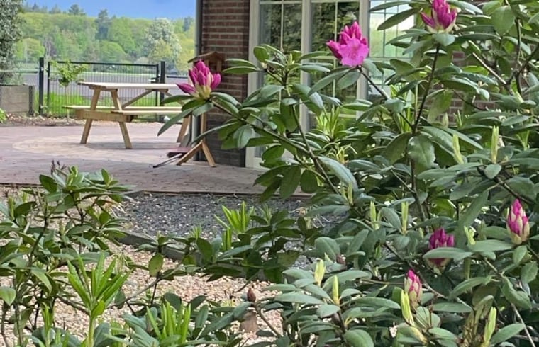 Natuurhuisje in Beekbergen