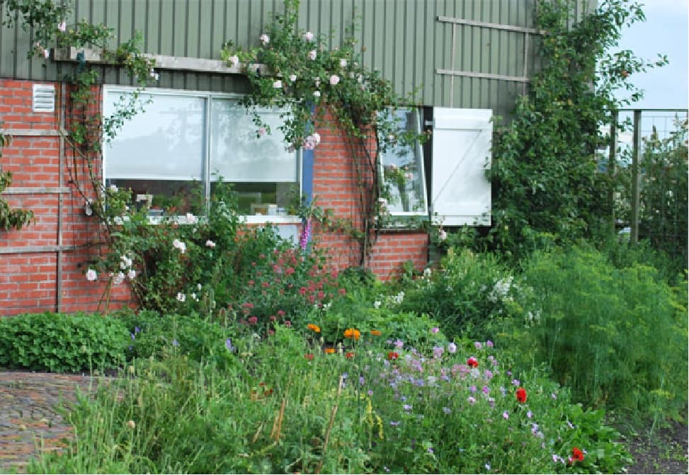 Nature house in Kollumerpomp