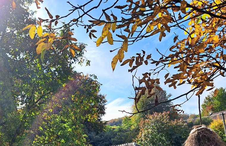 Tiny house in Zece Hotare — foto 2