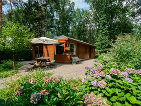 Nature house in Garderen