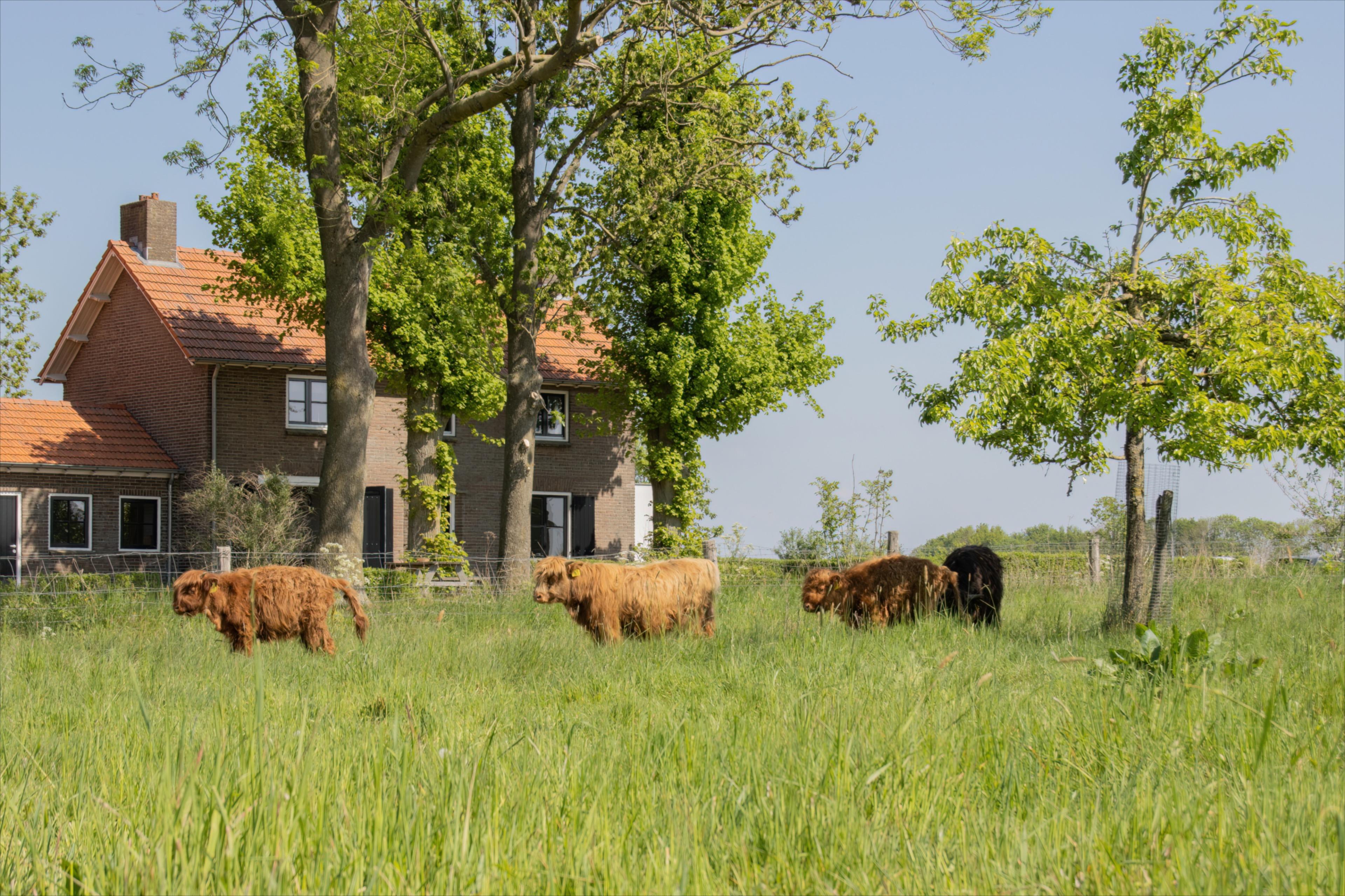 Casa nella natura a Keent