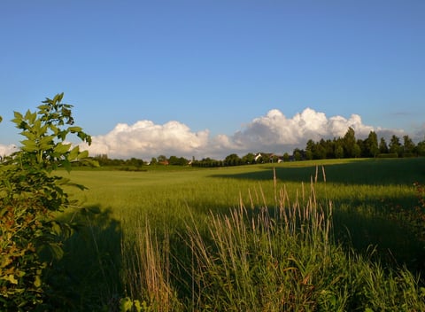 Natuurhuisje in Bemelen - thumbnail: 12: 12