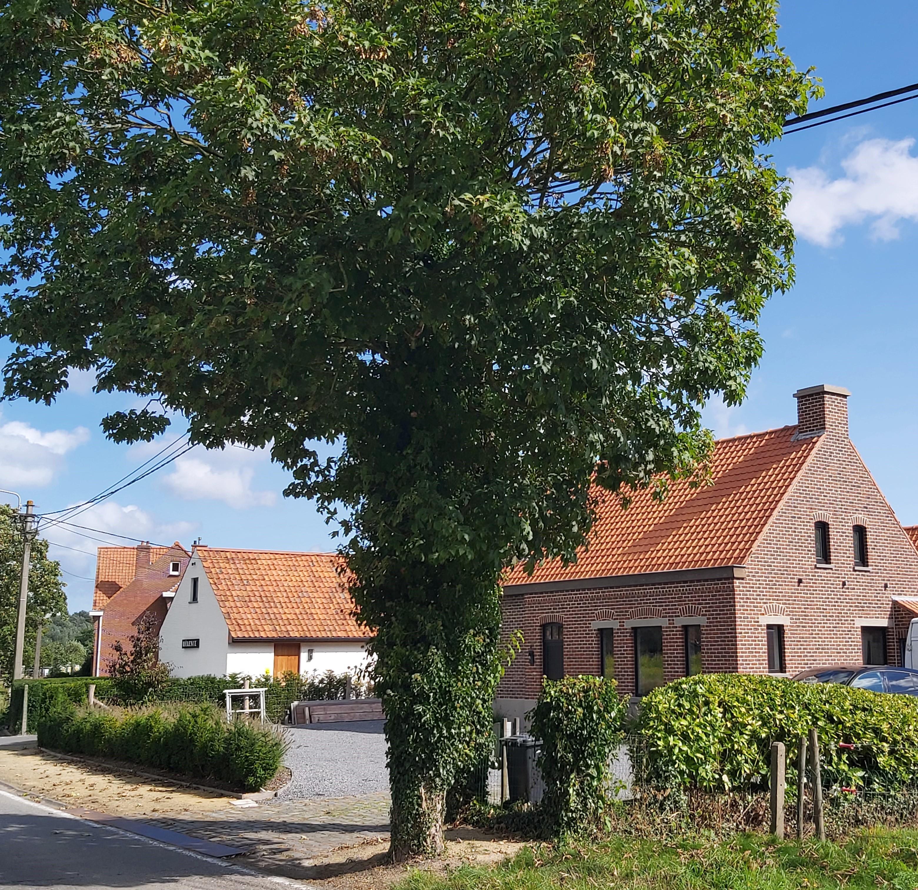 Nature house in Merendree