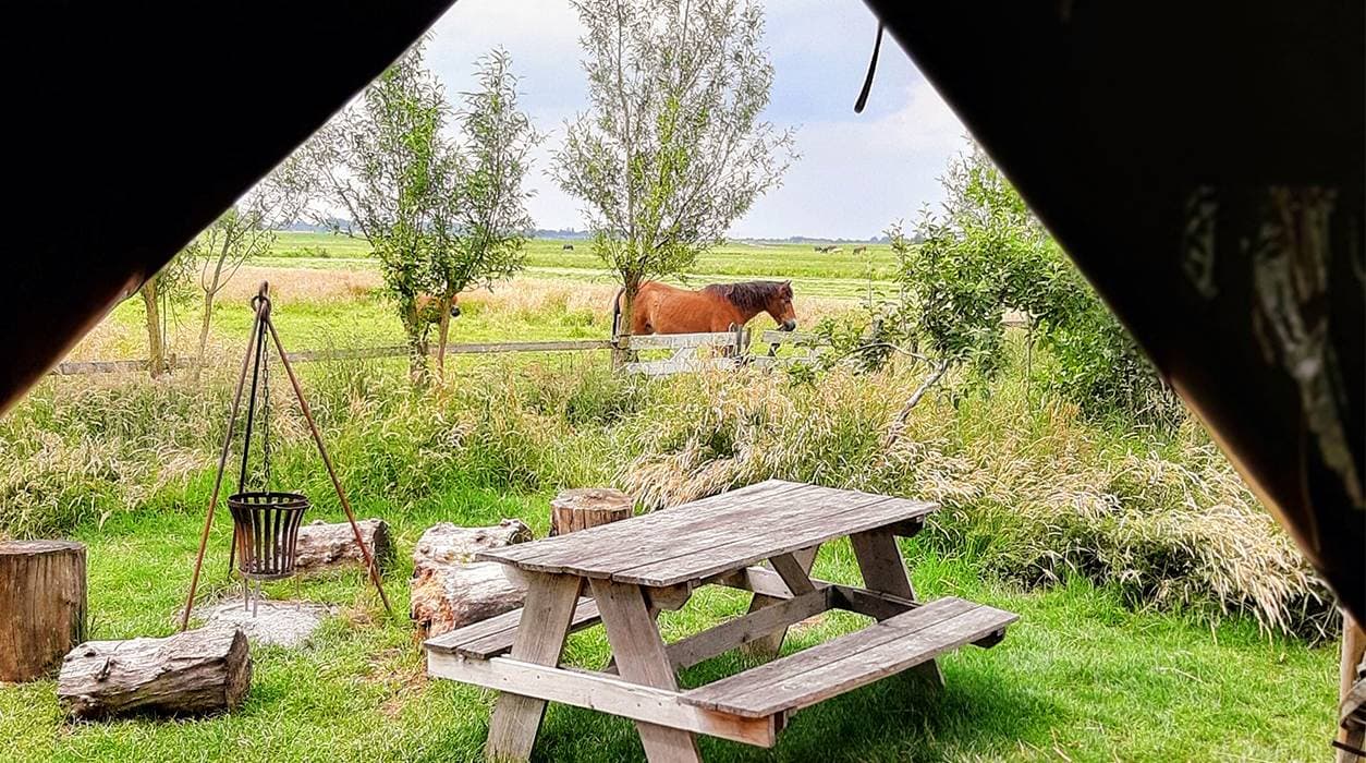 Nature house in Geesteren