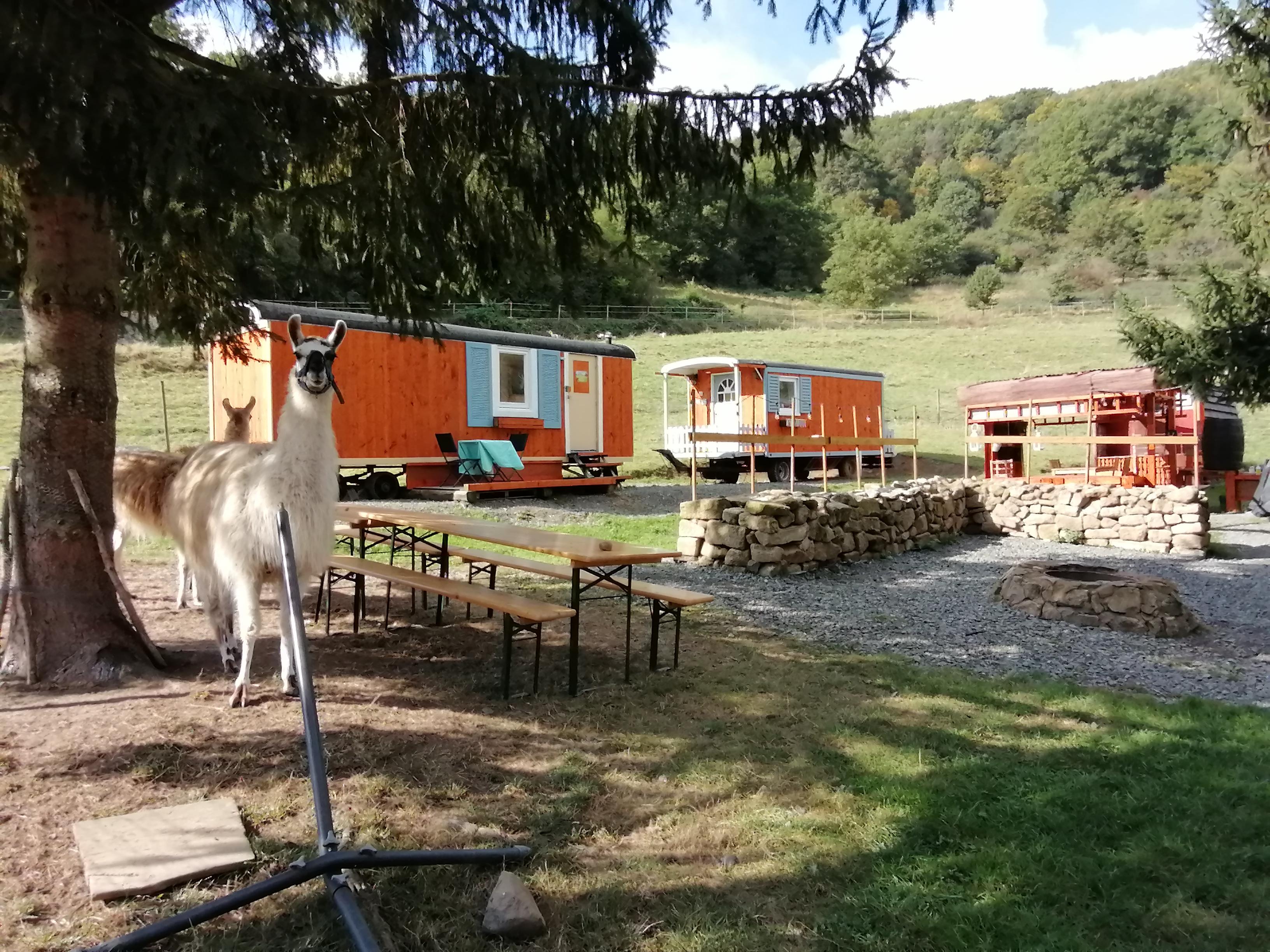 Maison nature à Adenbach