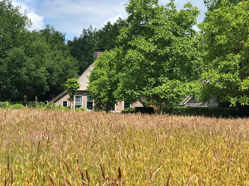 Maison nature à Havelte