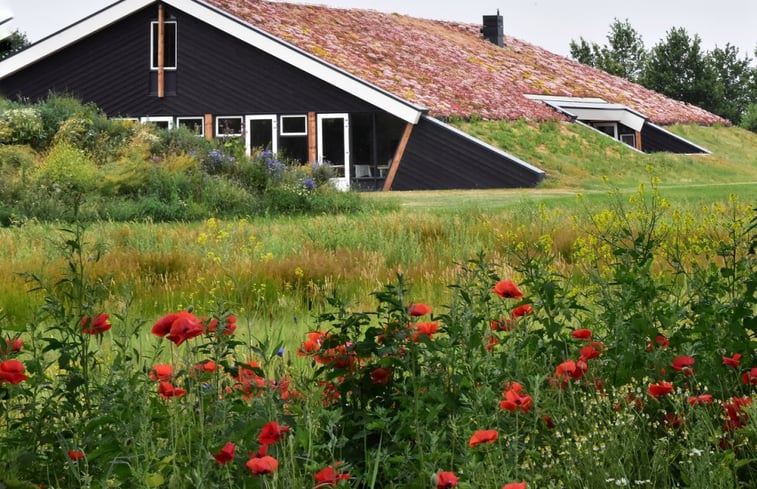 Natuurhuisje in Rijssen