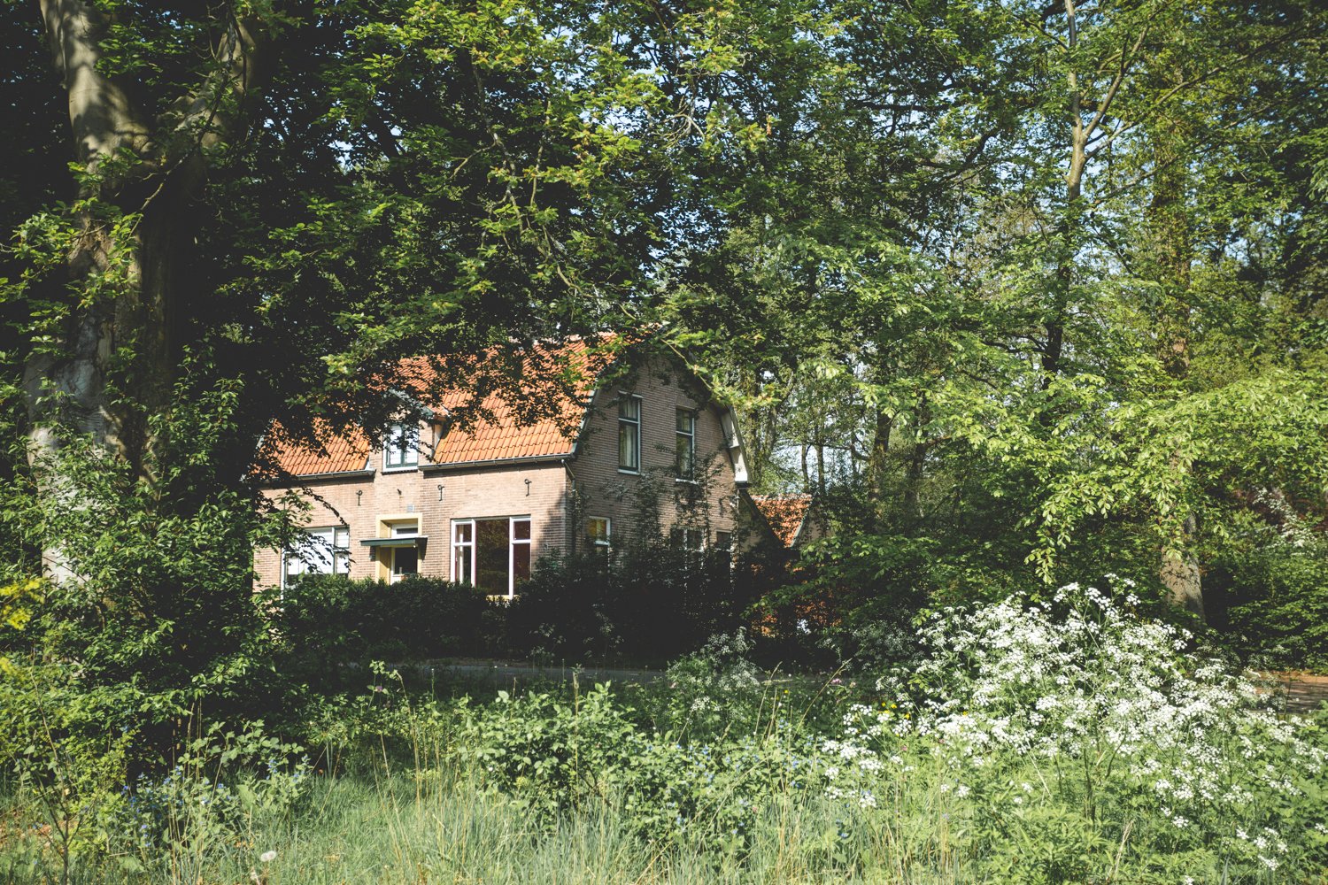 Natuurhuisje in Hoenderloo