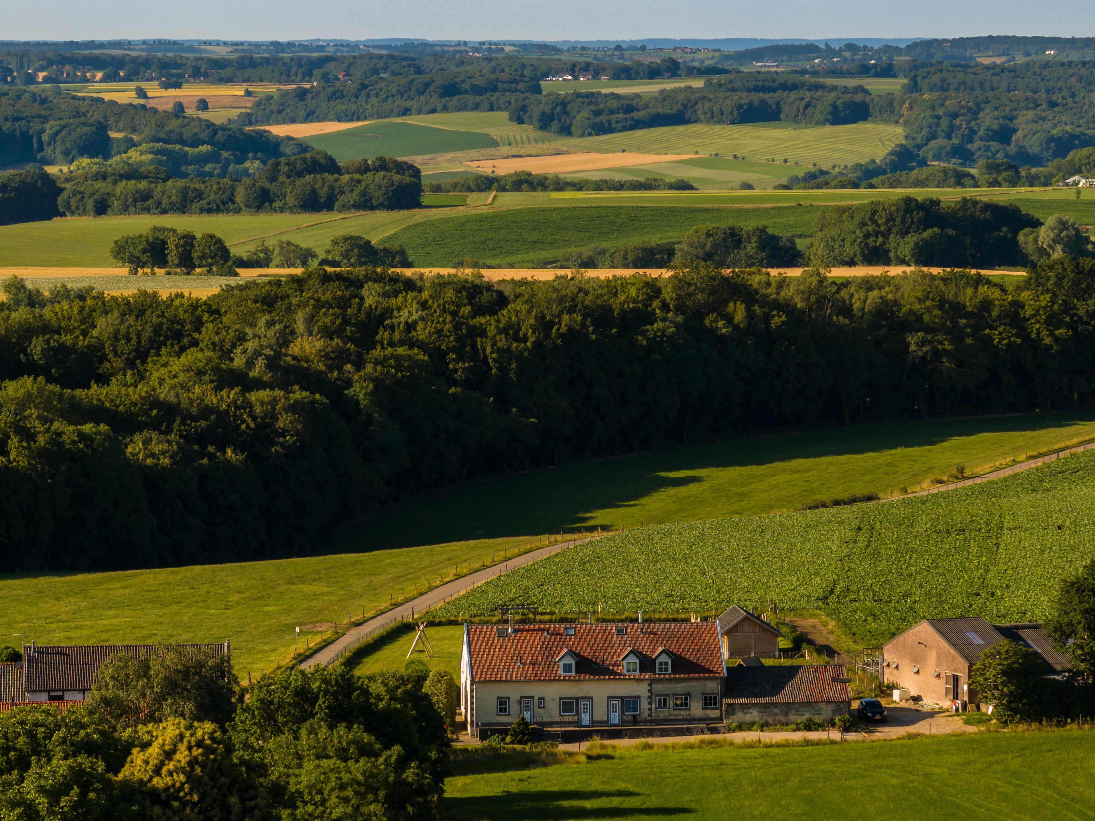 Maison nature à Wijlre