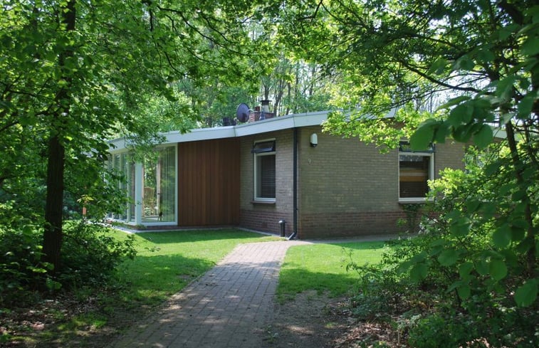 Nature house in Gieten: 4