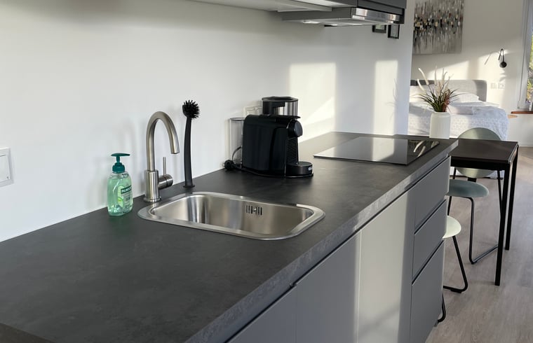 Vakantiehuis in Hof bei Salzburg — foto 3