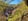 - image: 30