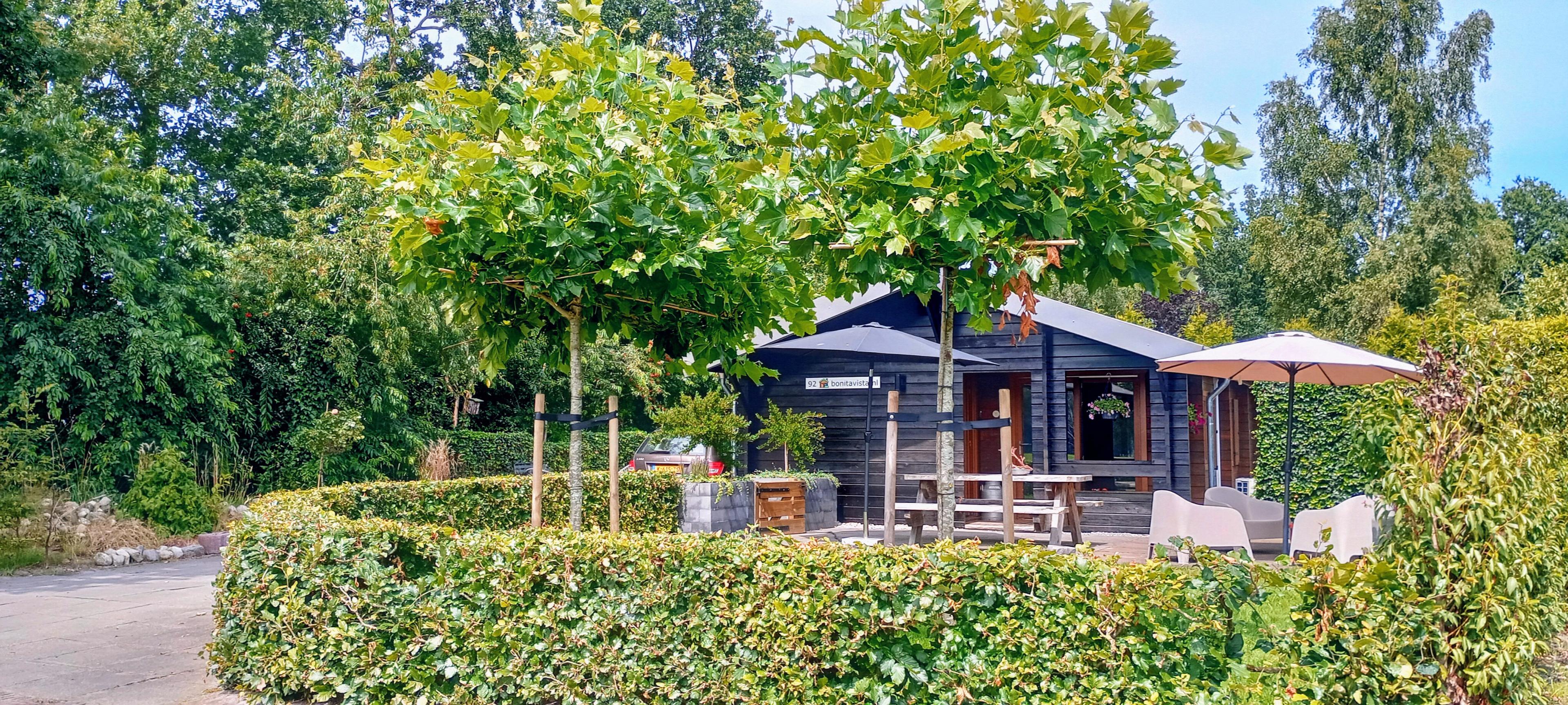 Maison nature à Rheezerveen