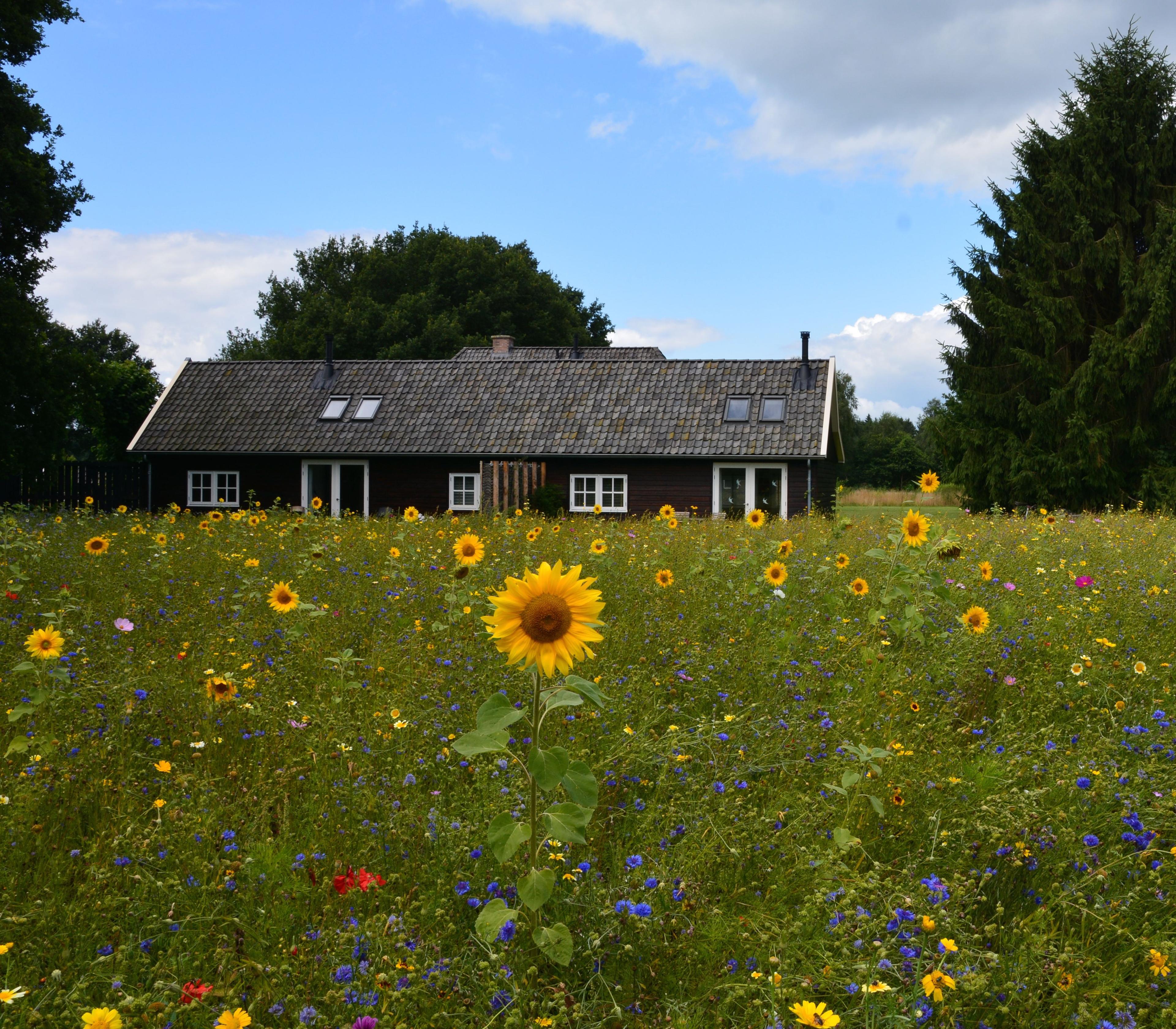 Maison nature à Varssel - Hengelo Gld