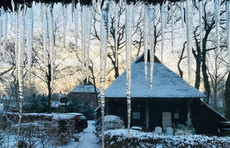 Natuurhuisje in Uffelte