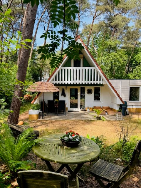 Maison nature à Ommen