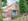 Nature house in Ohne