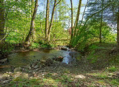 Natuurhuisje 71743 huisje in Vesqueville Natuurhuisje.be