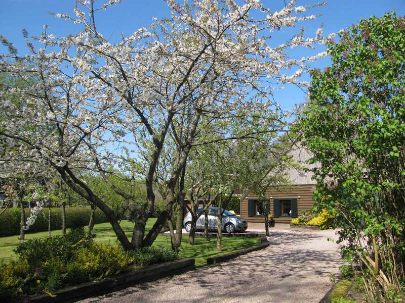 Nature house in Valthe