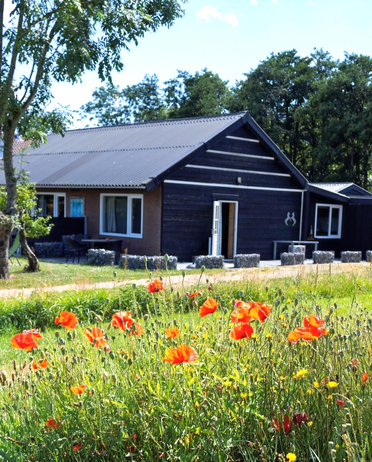 Nature house in Renesse