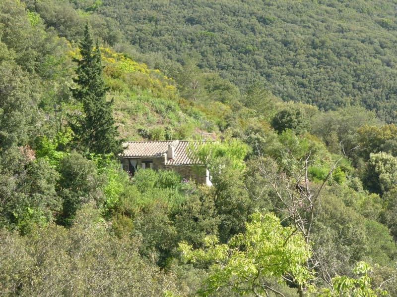 Nature house in Vieussan