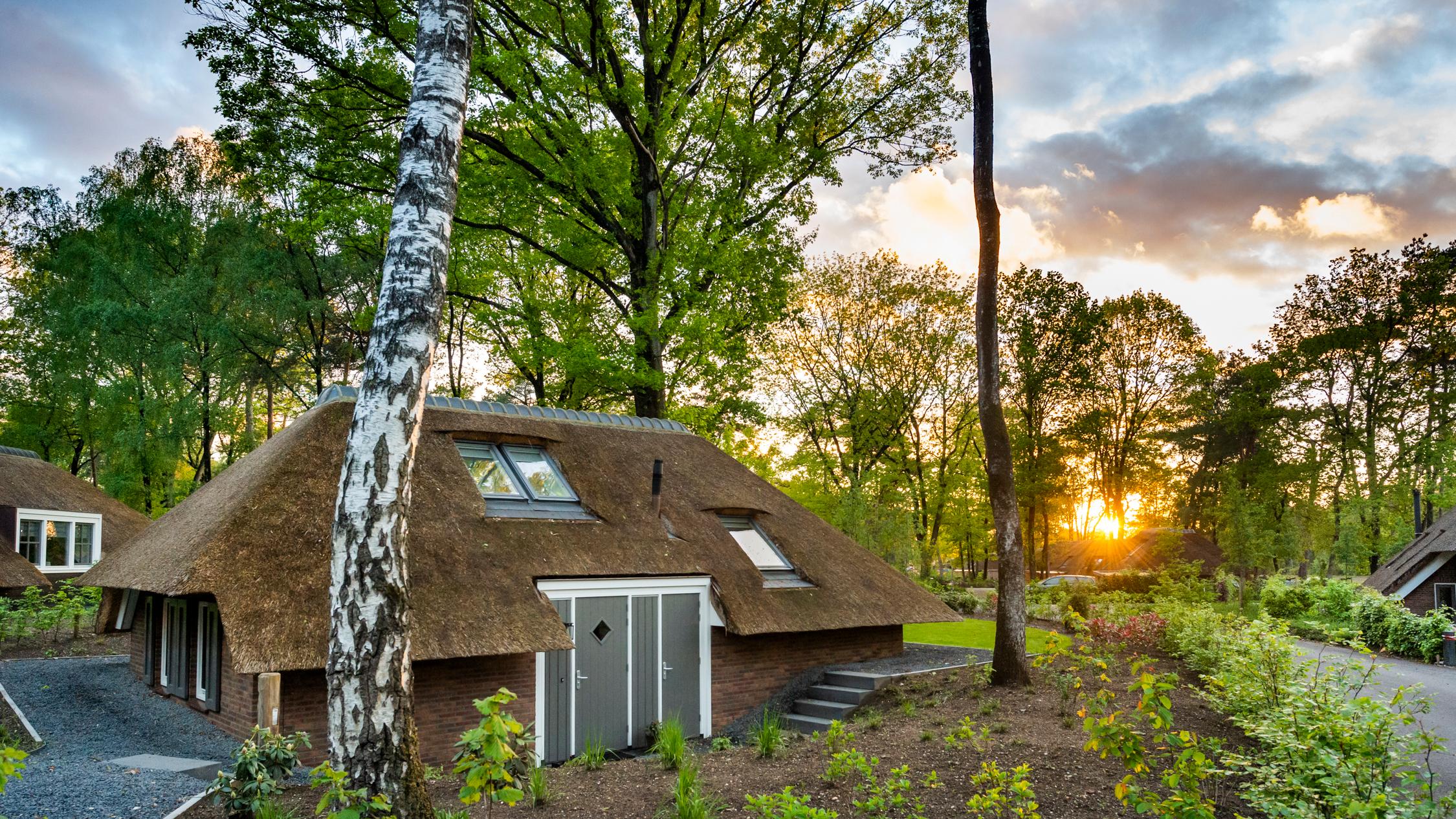Maison nature à Putten