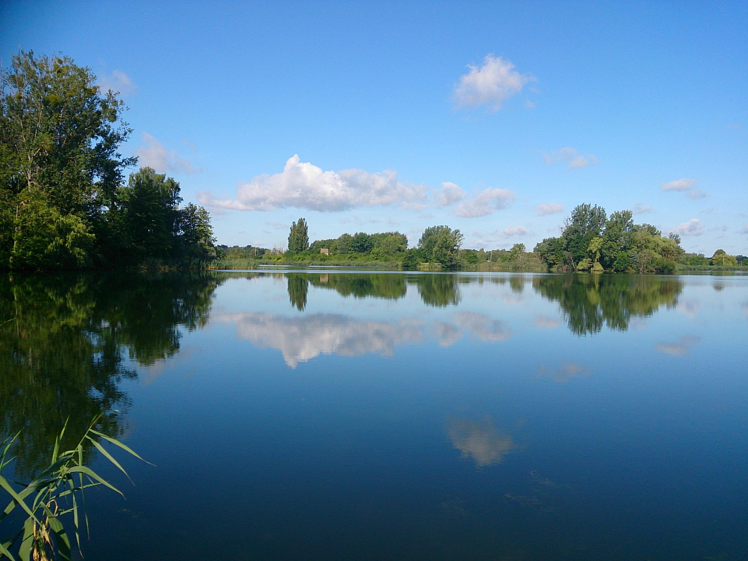 Nature house in Zehdenick