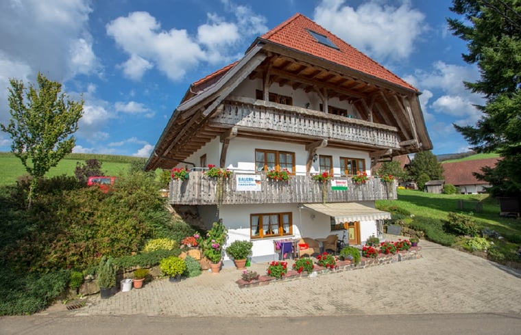 Groepsaccommodatie in Oberharmersbach — foto 2