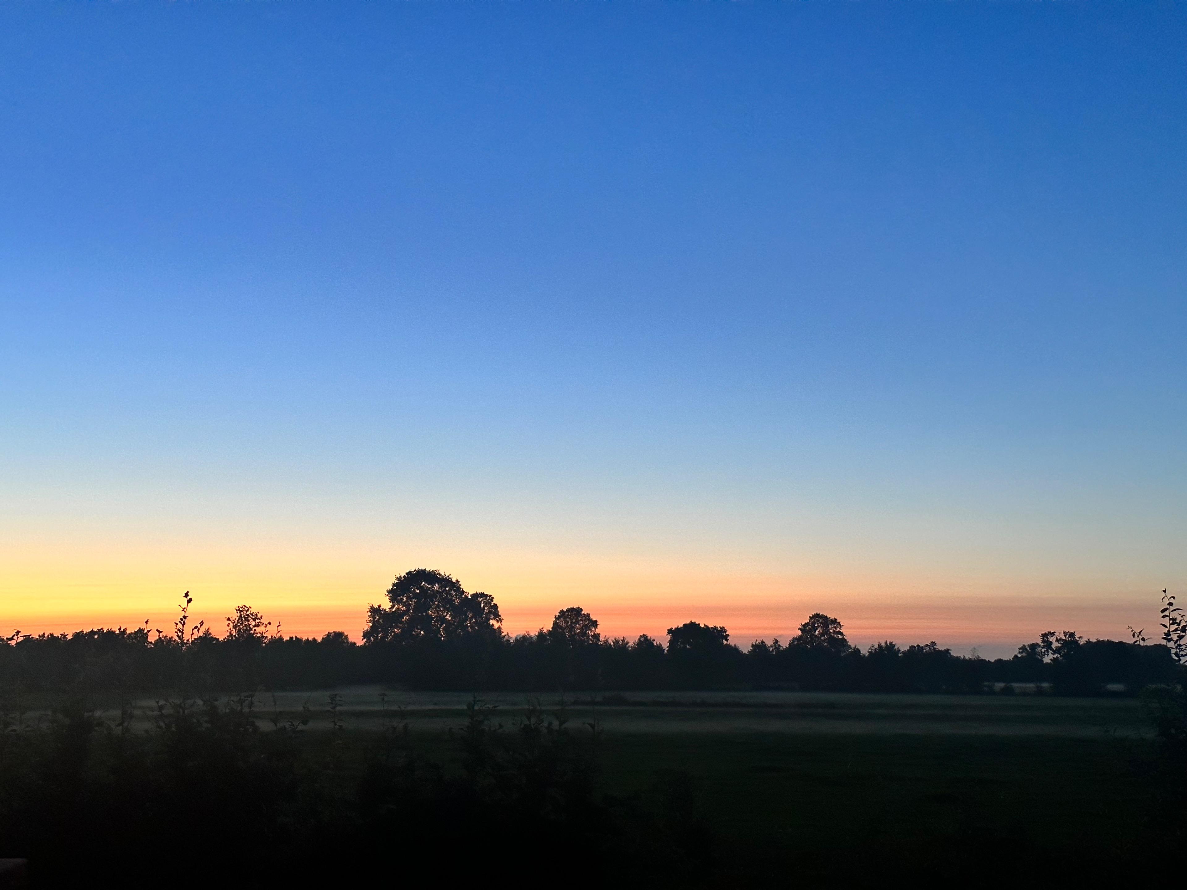 Natuurhuisje in Surhuisterveen