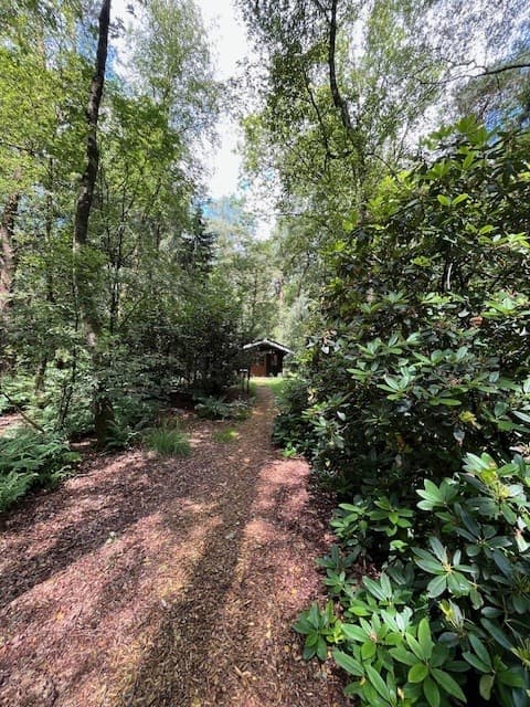 Casa nella natura a Vilsteren